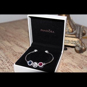 Pandora sterling silver bracelet with charms
